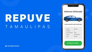 REPUVE Tamaulipas